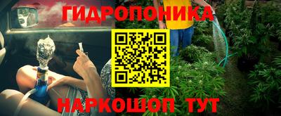 круглые Кингисепп