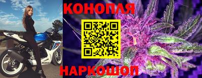 круглые Кингисепп