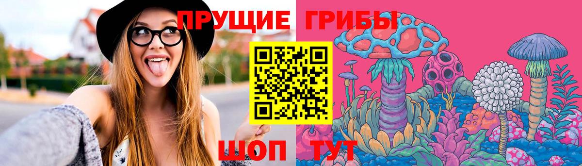 Краснокаменск  Псилоцибиновые грибы Psilocybine cubensis  Вход с VPN 