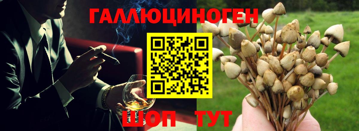 Псилоцибиновые грибы мухоморы Краснокаменск