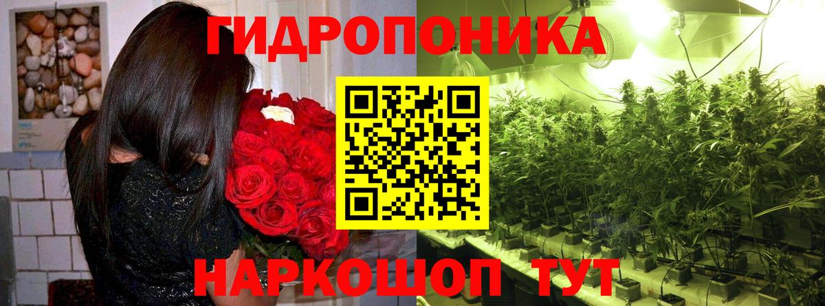 Краснокаменск  Шишки марихуана гибрид  Вход с VPN  Марихуана White Widow 